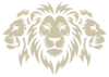 3 Lions Solidaires